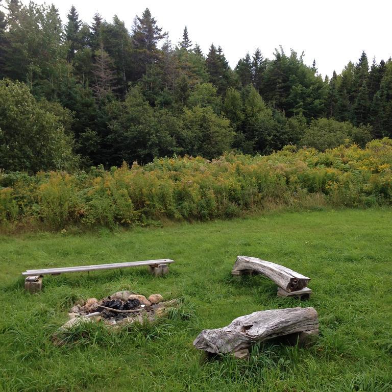 منزل الضيف Indian Brook  في Breton Cove Farmhouse المظهر الخارجي الصورة