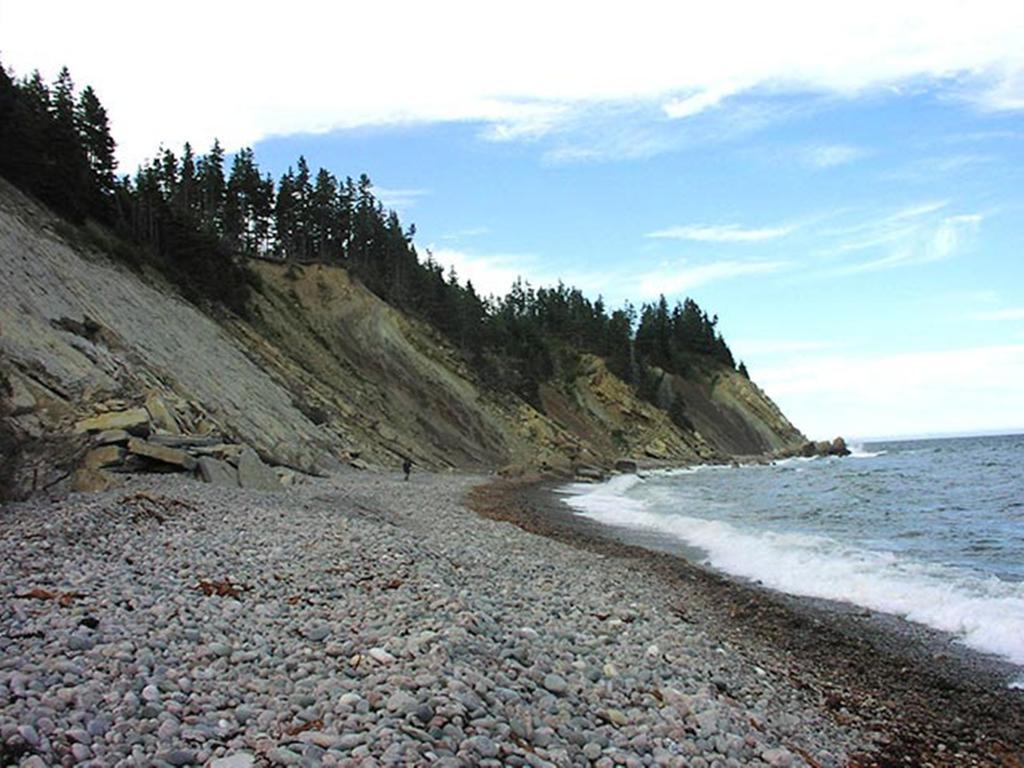 منزل الضيف Indian Brook  في Breton Cove Farmhouse المظهر الخارجي الصورة