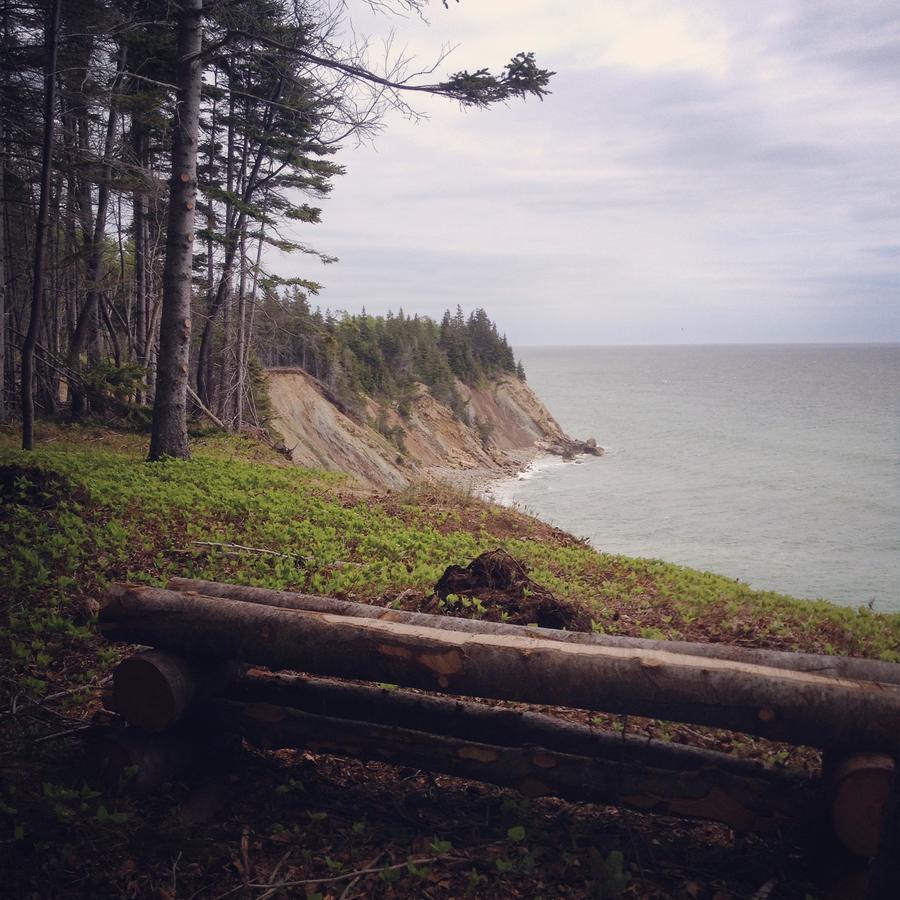 منزل الضيف Indian Brook  في Breton Cove Farmhouse المظهر الخارجي الصورة