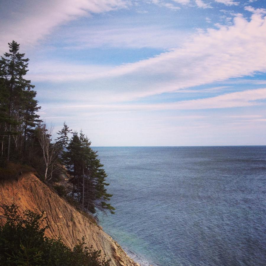 منزل الضيف Indian Brook  في Breton Cove Farmhouse المظهر الخارجي الصورة