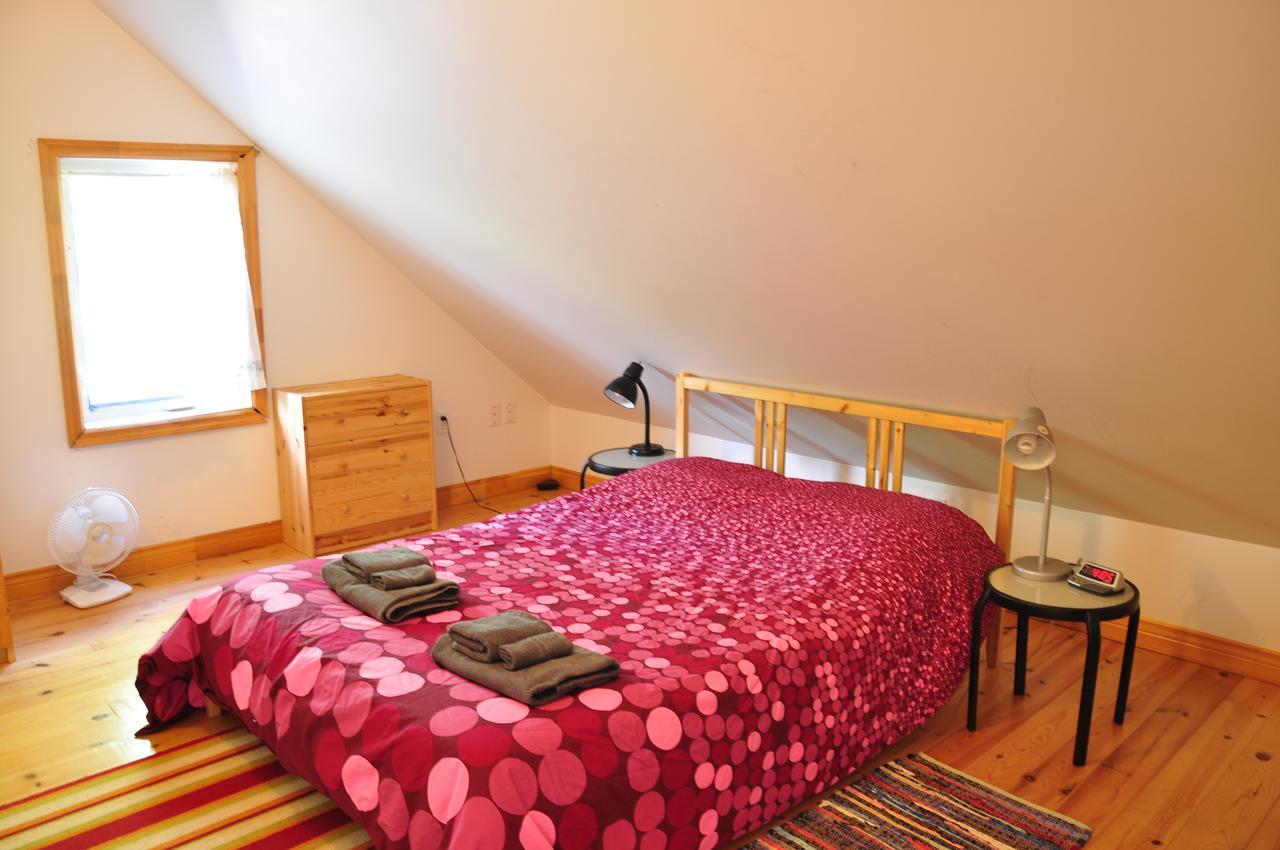 منزل الضيف Indian Brook  في Breton Cove Farmhouse المظهر الخارجي الصورة